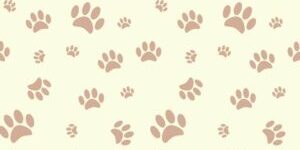 background-with-dog-paw-print-and-bone-vector-1360415