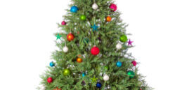 christmas-tree-isolated_venplz